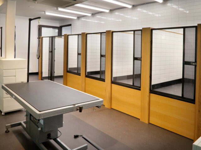 Barkin' Creek - Lamar